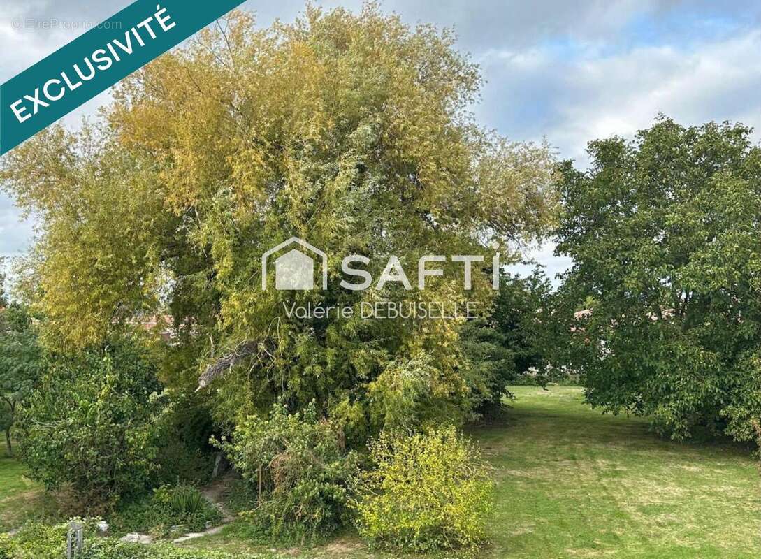 Photo 2 - Terrain à SALLAUMINES