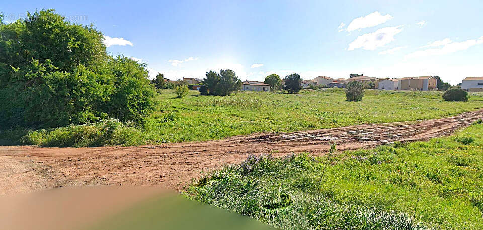 Terrain à MARSEILLAN