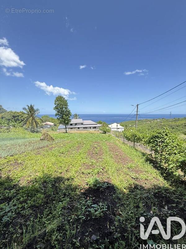 Photo 1 - Terrain à VIEUX-HABITANTS