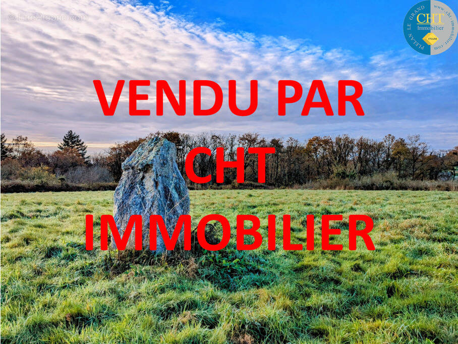Terrain à MONTENEUF