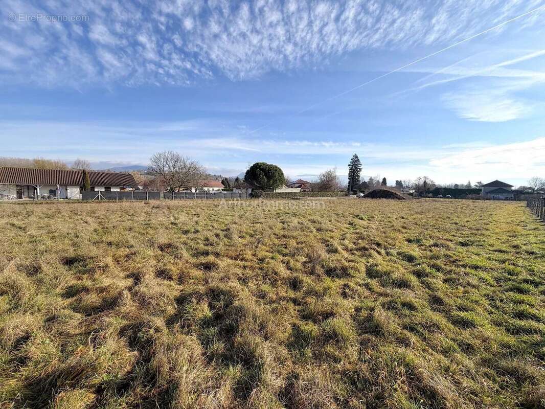 Terrain à CORBELIN