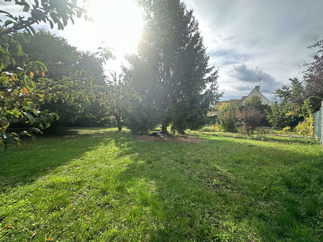 Terrain à JOUE-LES-TOURS