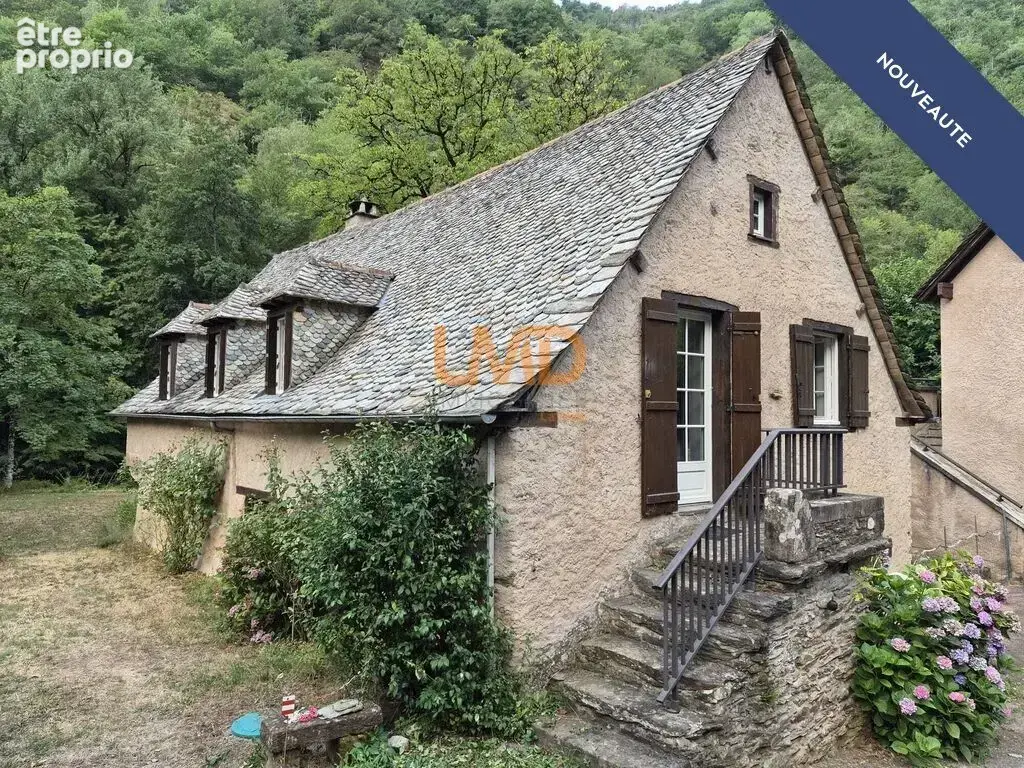 Ancien moulin en pierre rénové avec terrain - photo 2