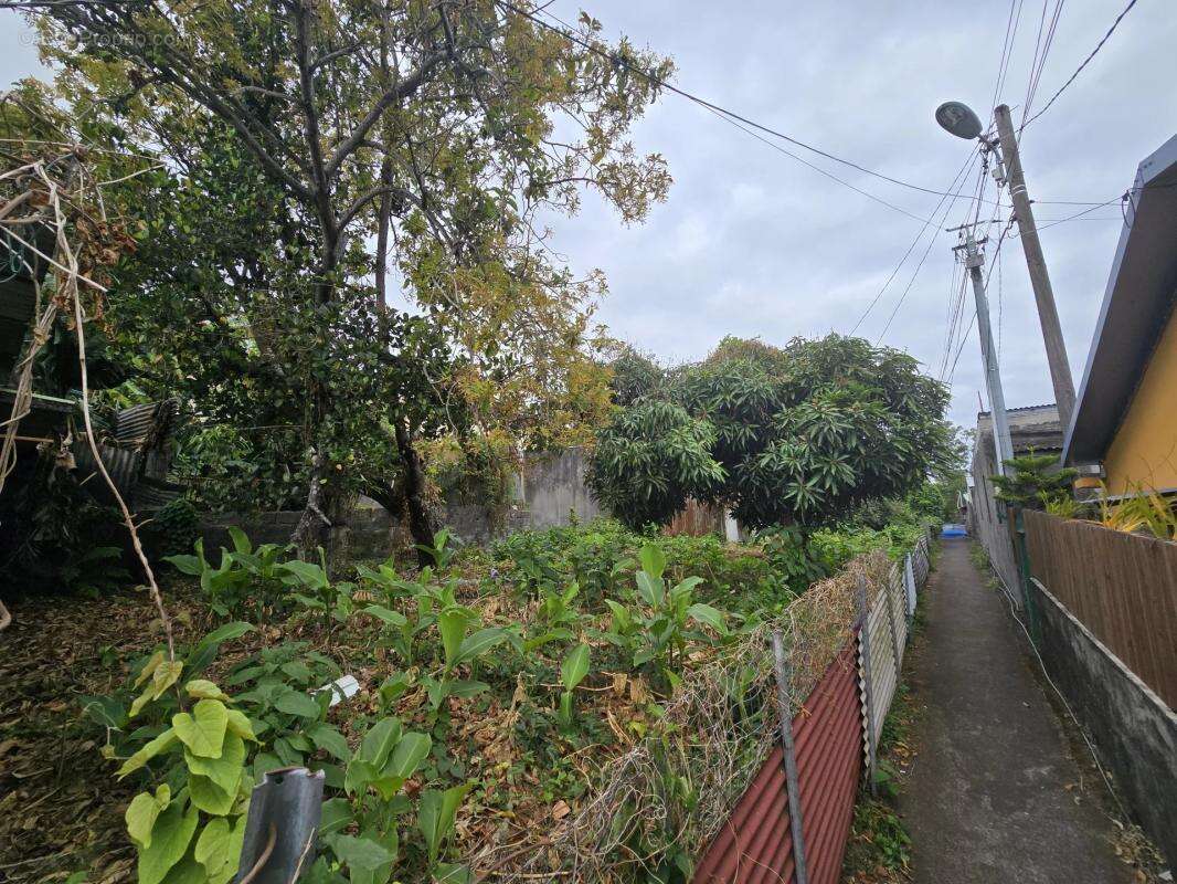 Terrain à LE TAMPON