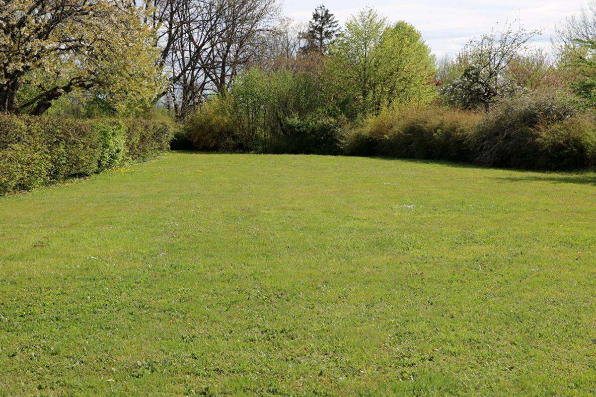 Maison à FROIDETERRE