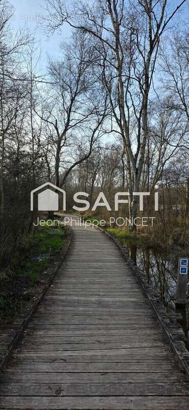 Photo 6 - Appartement à FORT-MAHON-PLAGE