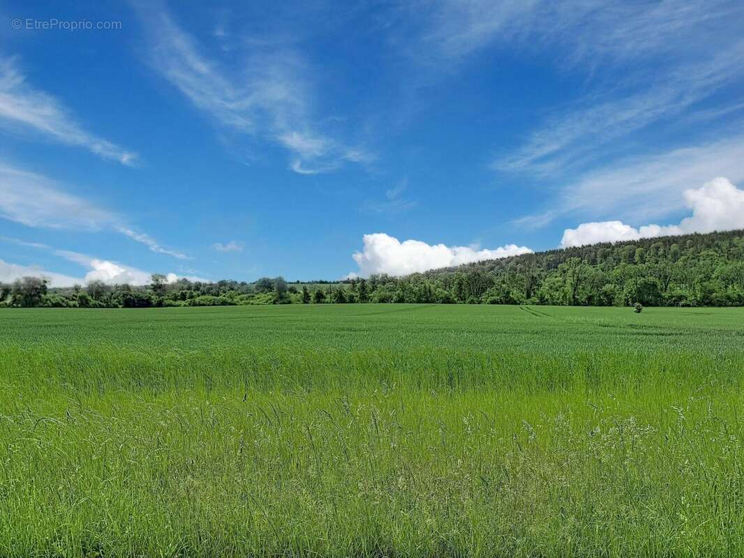Photo 3 - Maison à DAMLOUP