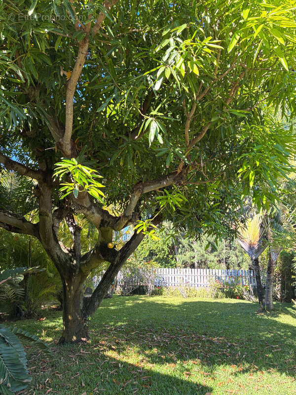 Maison à SAINT-PAUL