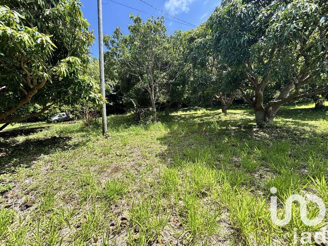 Photo 3 - Terrain à SAINT-PIERRE