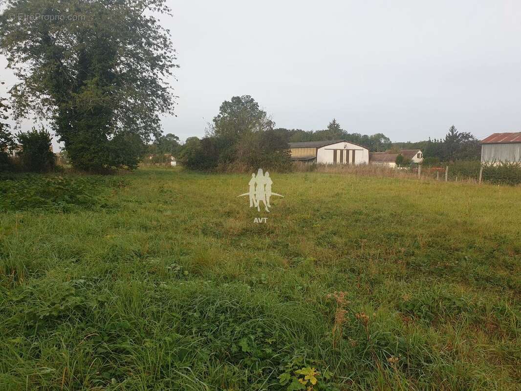 Terrain à VILLECHAUVE