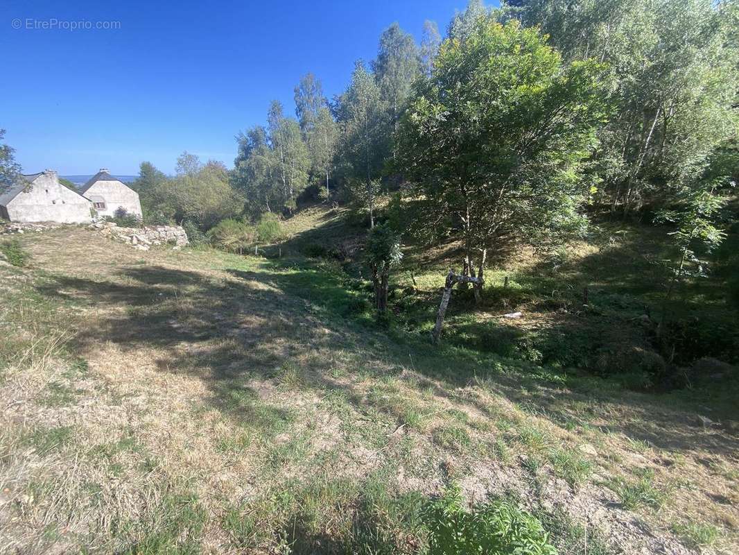 Terrain à LES BESSONS