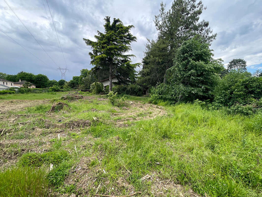 Terrain à VILLETTE-D'ANTHON