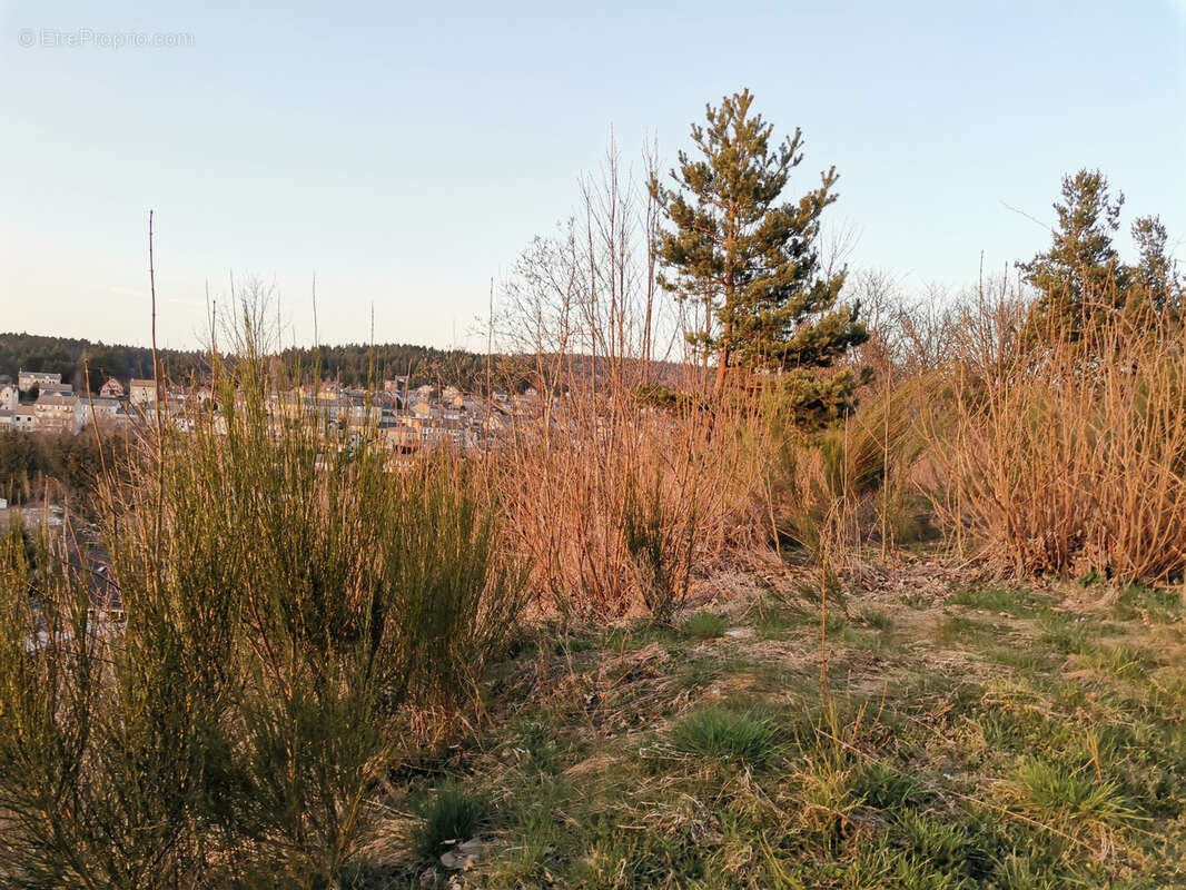 Terrain à LE CHAMBON-SUR-LIGNON