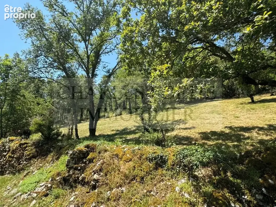 Superbe ensemble en pierre sur 2.9 ha de terrain - photo 16