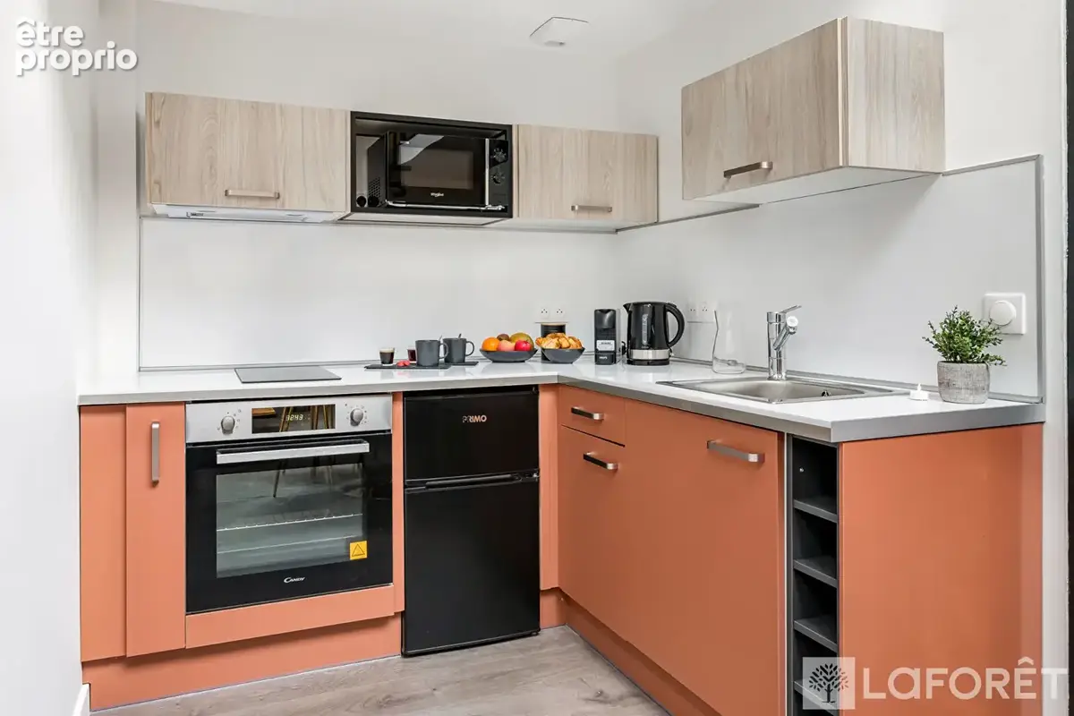 Appartement Bourgoin Jallieu 2 pièces esprit Loft - photo 4