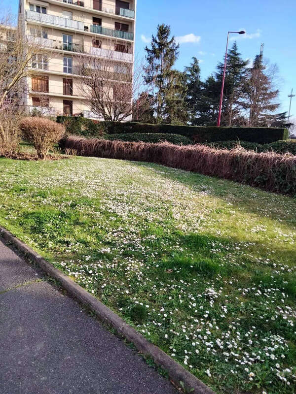 Appartement à FRESNES