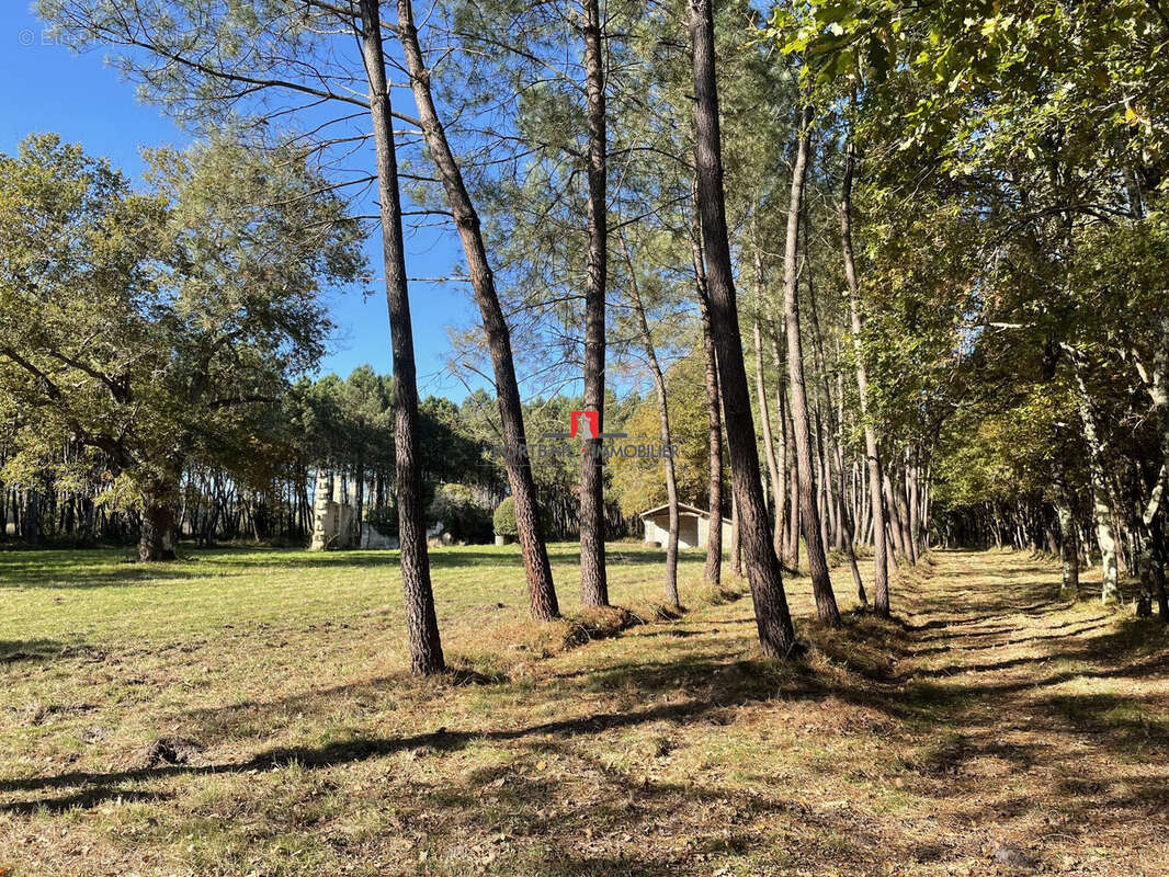 Terrain à LARUSCADE