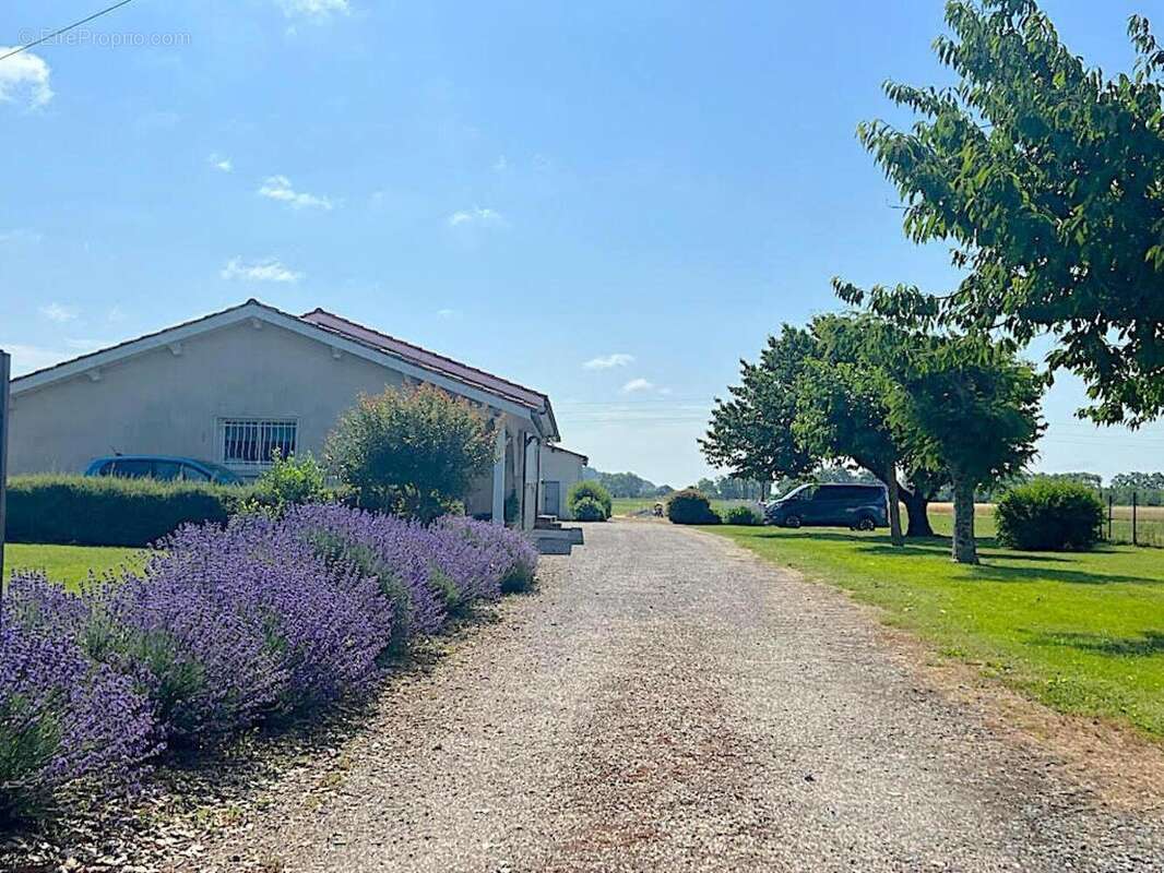 Photo 8 - Maison à VALENCE