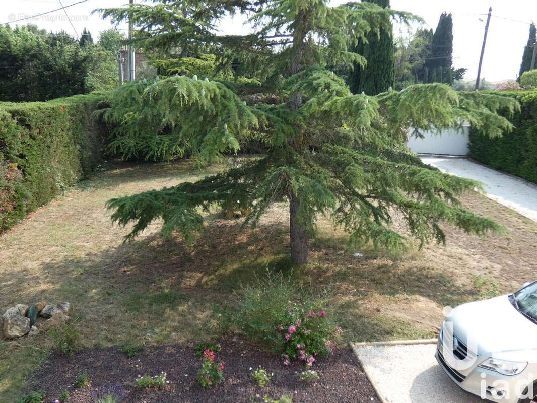 Photo 4 - Maison à SAINT-ANDRE-DE-ROQUELONGUE