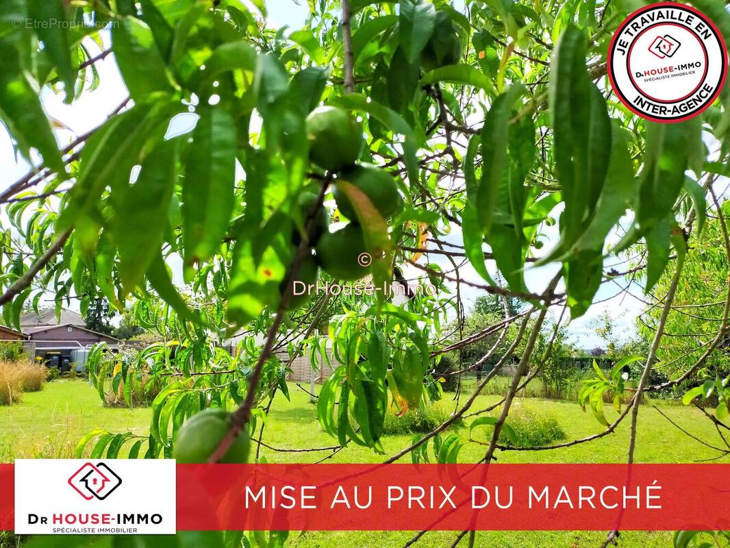 Terrain à L'ISLE-JOURDAIN