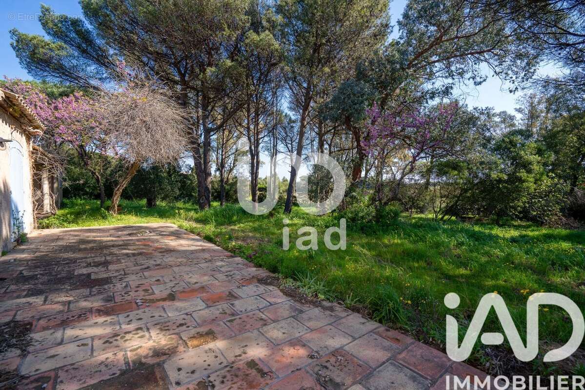 Photo 3 - Maison à RAMATUELLE