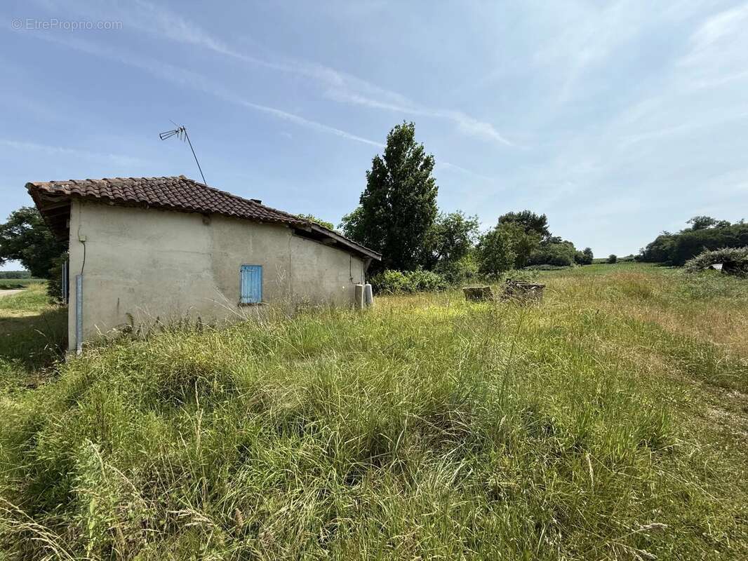 Maison à SAINTE-CHRISTIE-D&#039;ARMAGNAC
