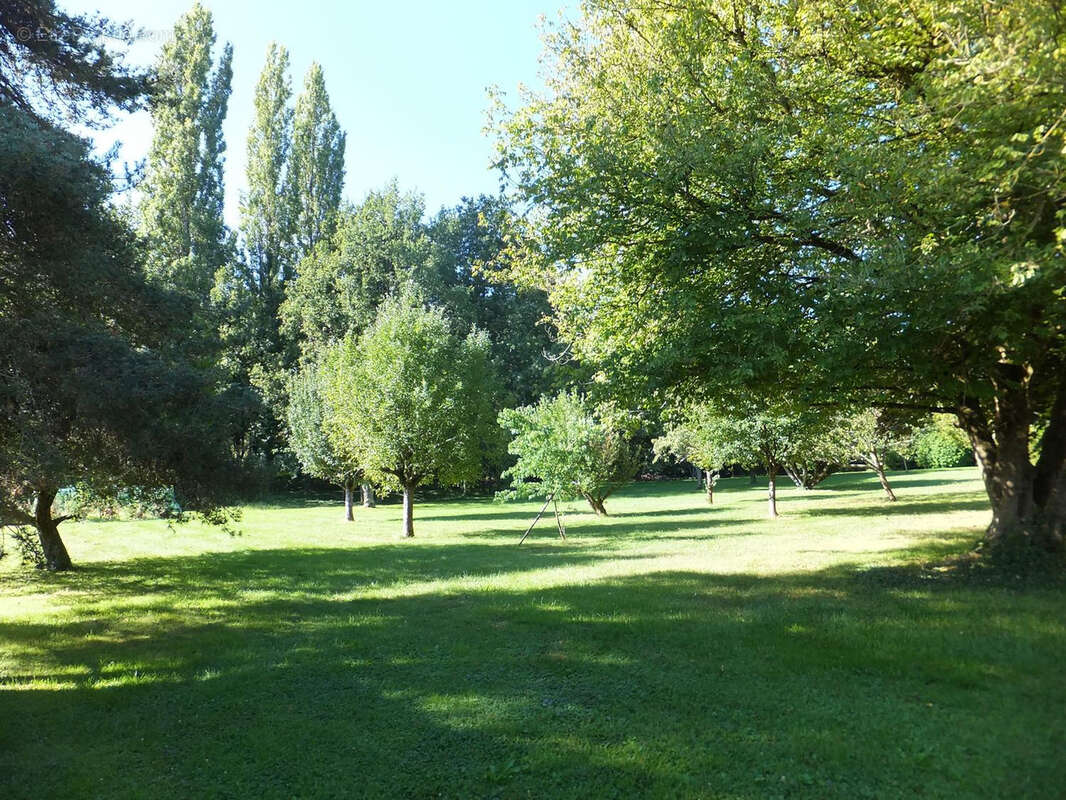 Belle propriété entouré de son parc boisé de 10700m2 - photo 35
