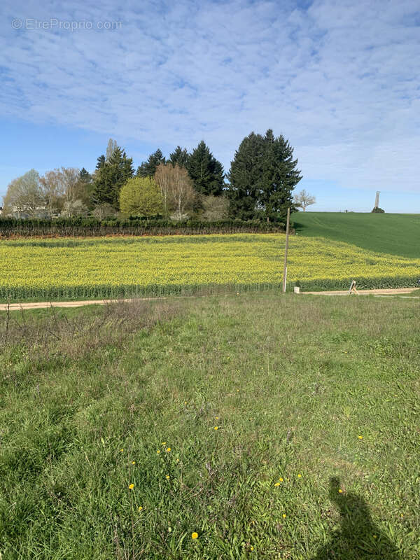 Terrain à MONTOIRE-SUR-LE-LOIR