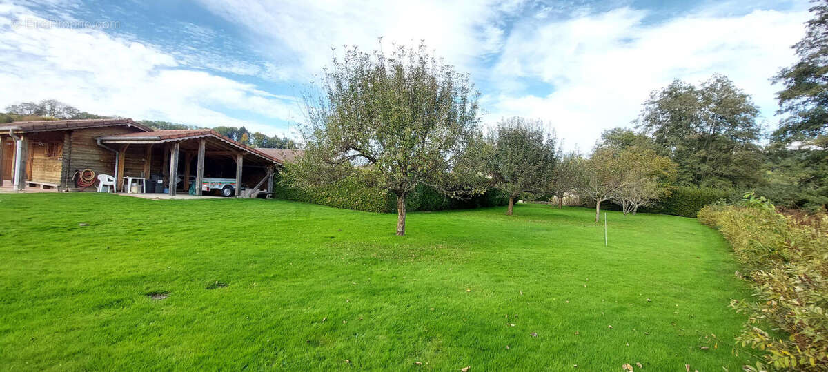 20251007_161140 - Maison à RAON-AUX-BOIS