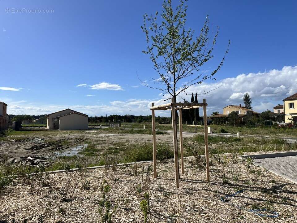Terrain à COURTHEZON