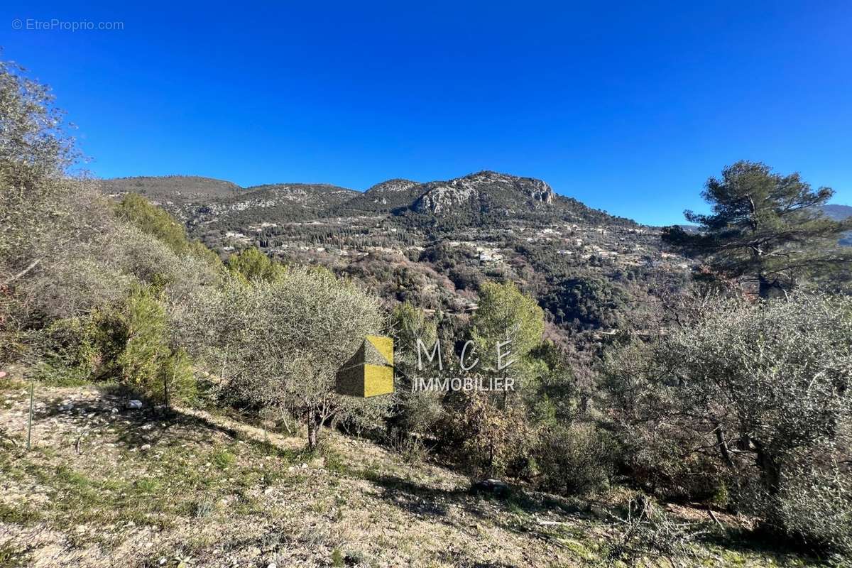 Terrain à CASTAGNIERS