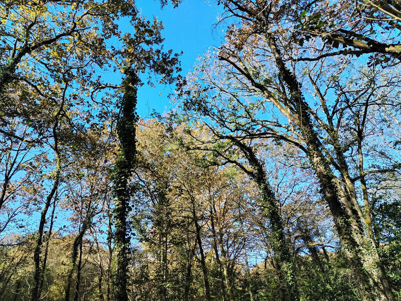 Terrain à AMOU