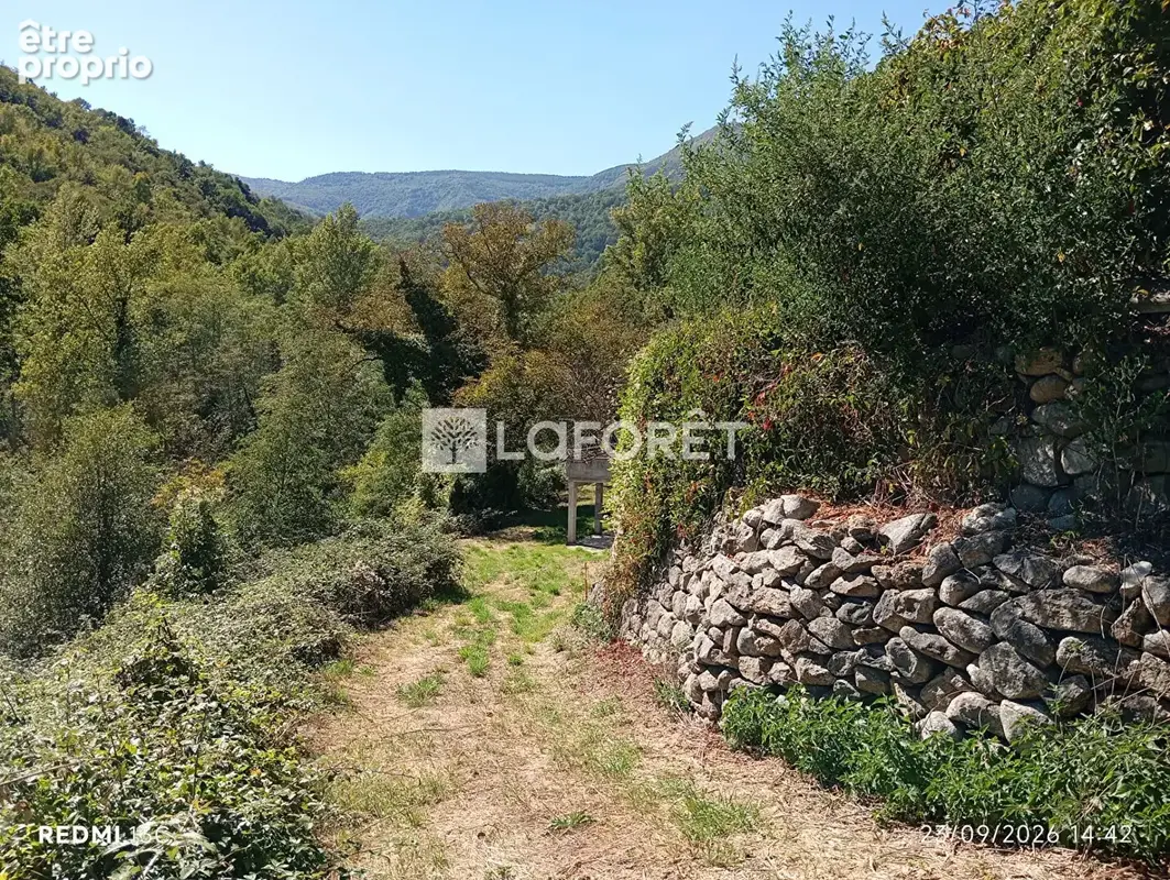 Ancien camping / 2,15 ha - prats de mollo - photo 11