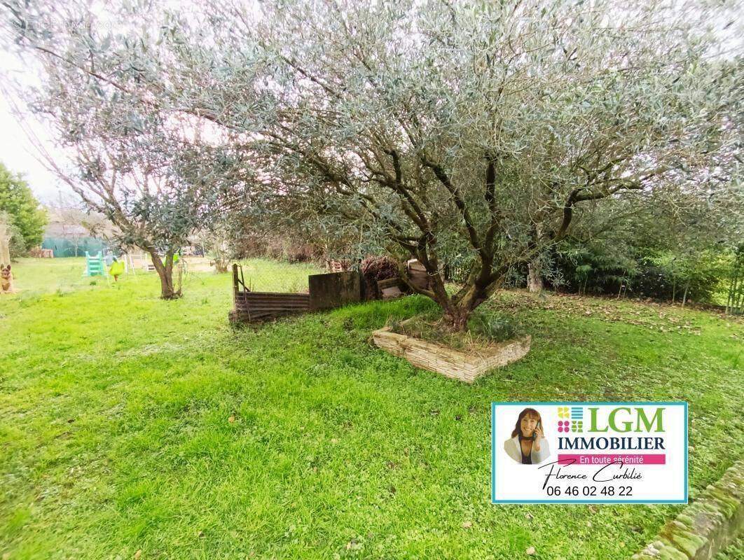 Terrain à SAINT-CHAPTES