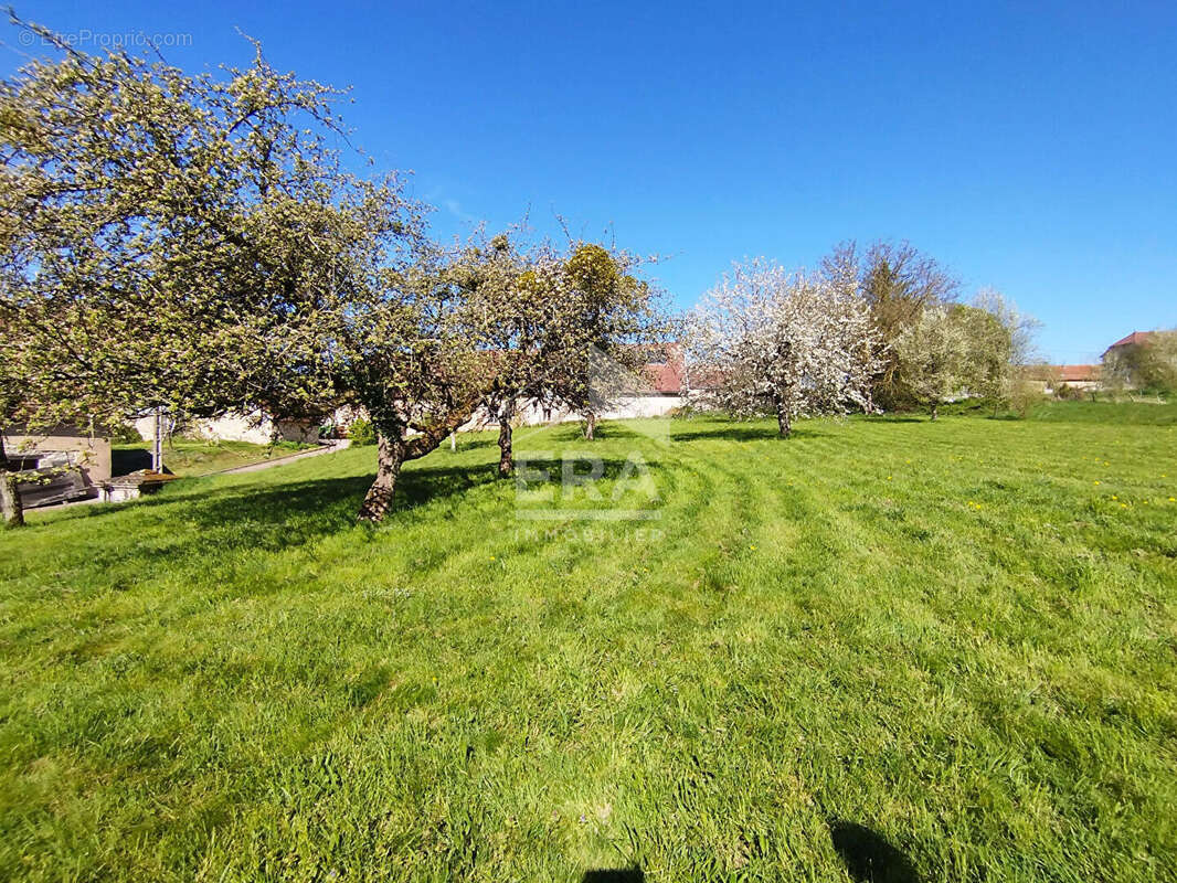 Maison à THIEFFRANS