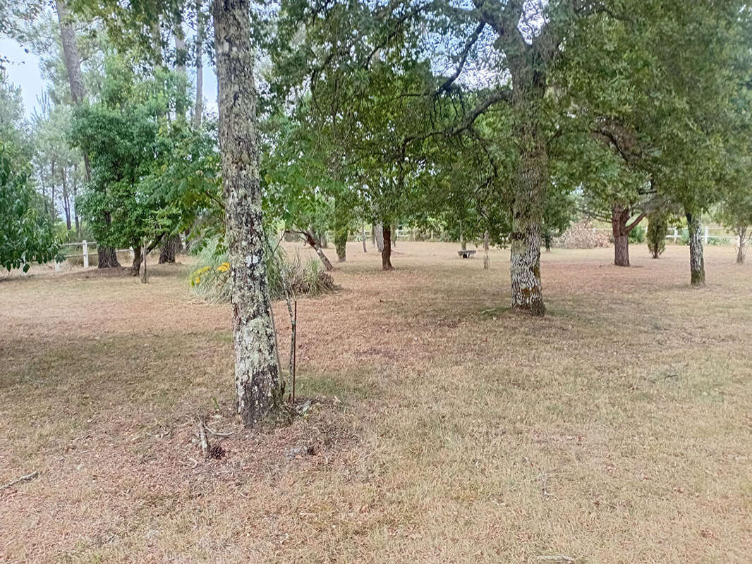 Photo 5 - Maison à ESCOURCE