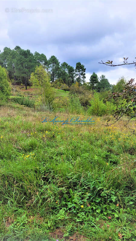 Chamborigaud, terrain de 1300 m2 - photo 2