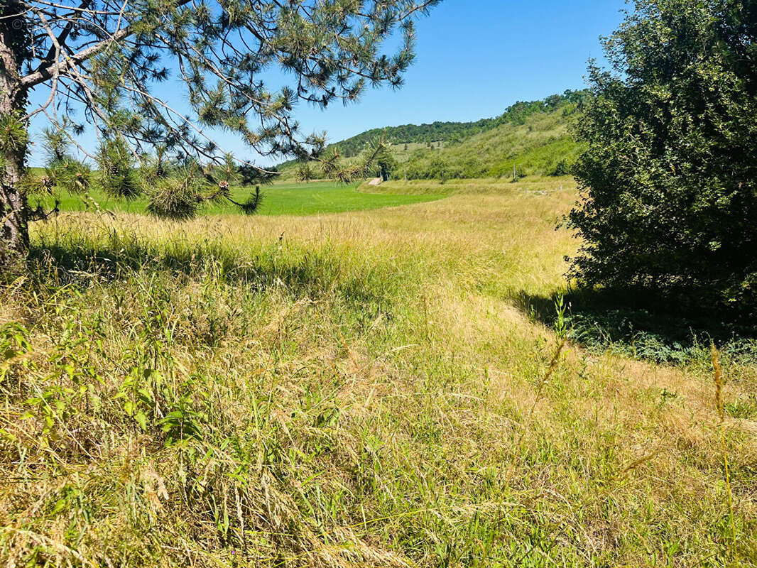 PROPRIETE sur 3,7 hectares - photo 3