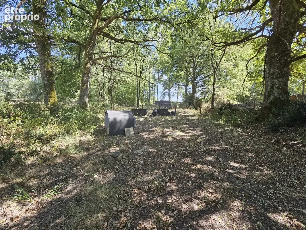Propriété de caractère avec plus d'un hectare de terrain – Une opportunité de style de vie rare - photo 15