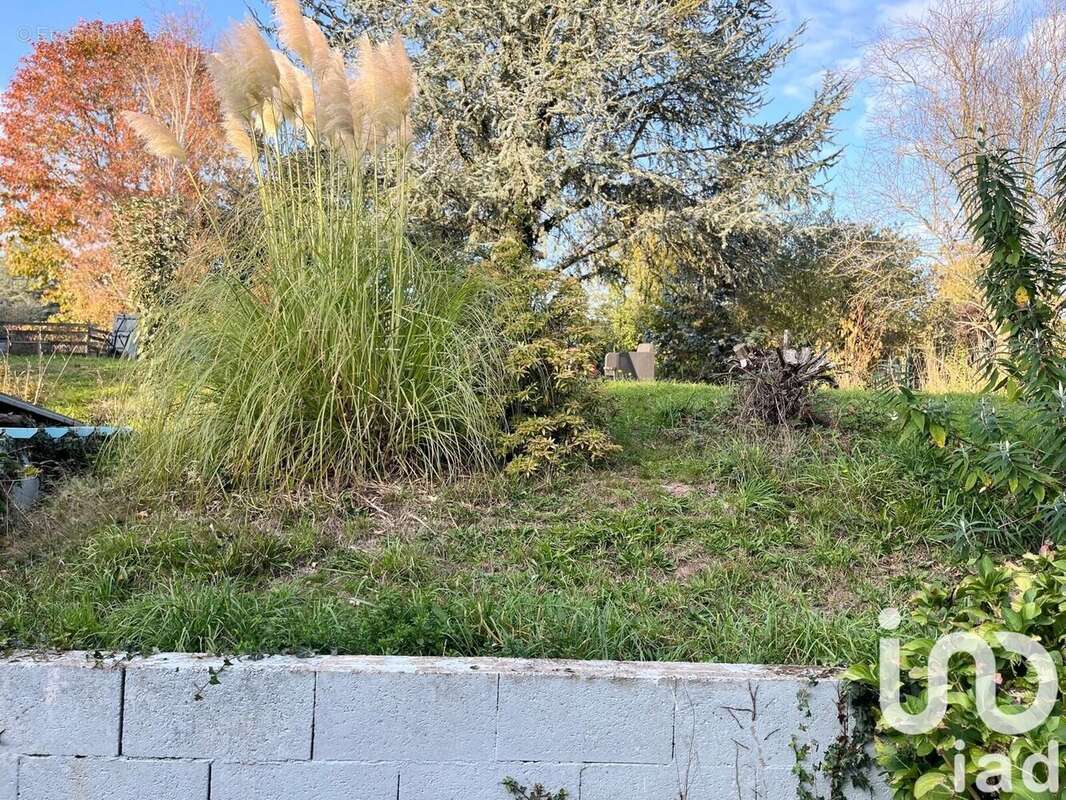 Photo 5 - Maison à SIXT-SUR-AFF