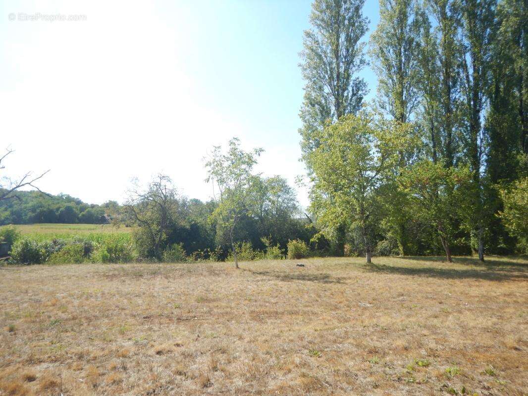 Terrain de loisir de 3 060 m² sur la commune de Cubjac-Auvezère-Val d'Ans (24) - photo 9