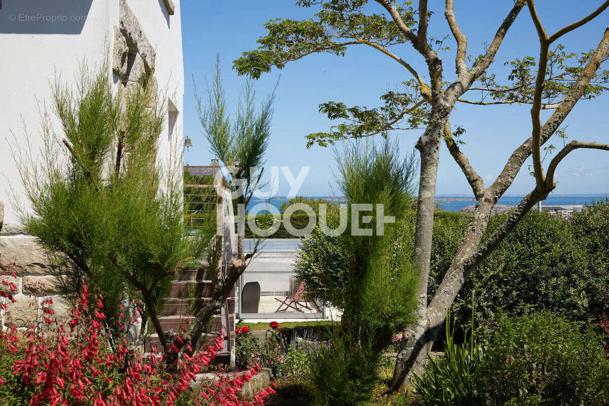 Maison à vendre vue mer - saint quay portrieux - photo 5