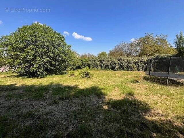 Terrain à SAINT-ROMANS