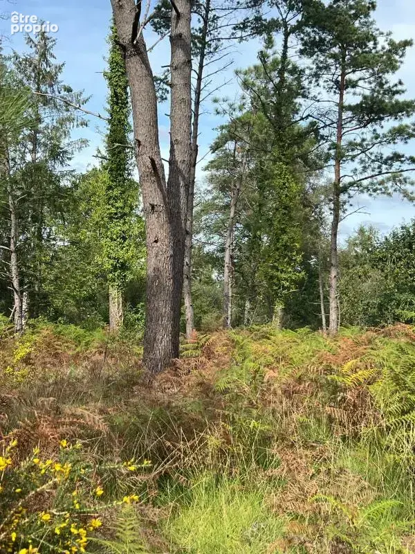 À vendre – argol – finistère – presqu’île de crozon-exceptionnel terrain de loisirs de 40 000 m² - photo 7