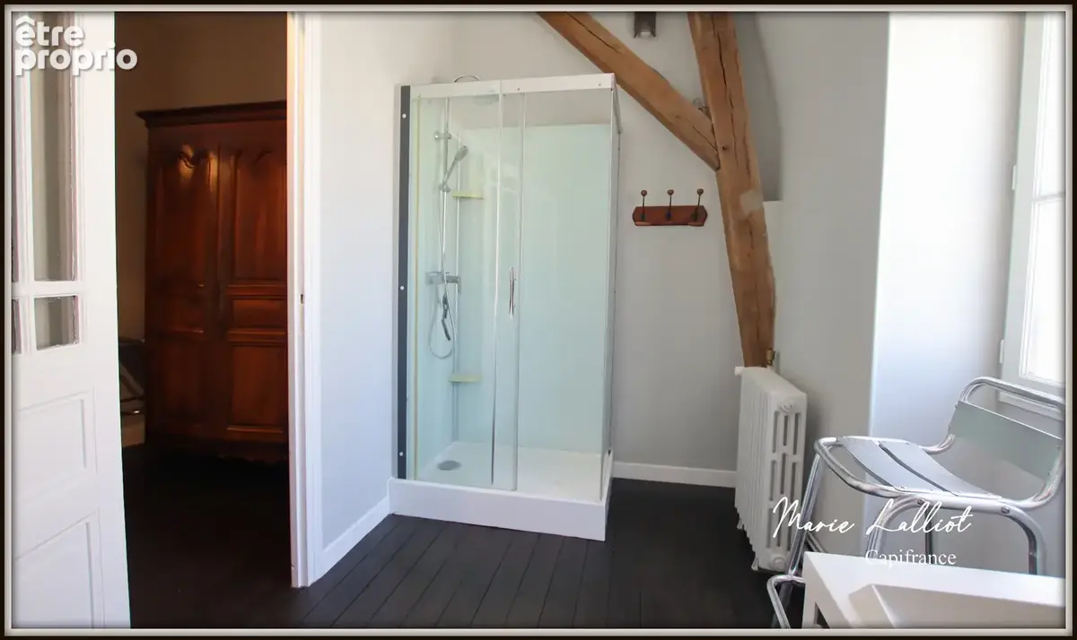 Maison à vendre 11 pièces PITHIVIERS (45), 370m², 5 chambres, séjour 45m², piscine, garage, parc arboré de 2500m², sous-sol - photo 21