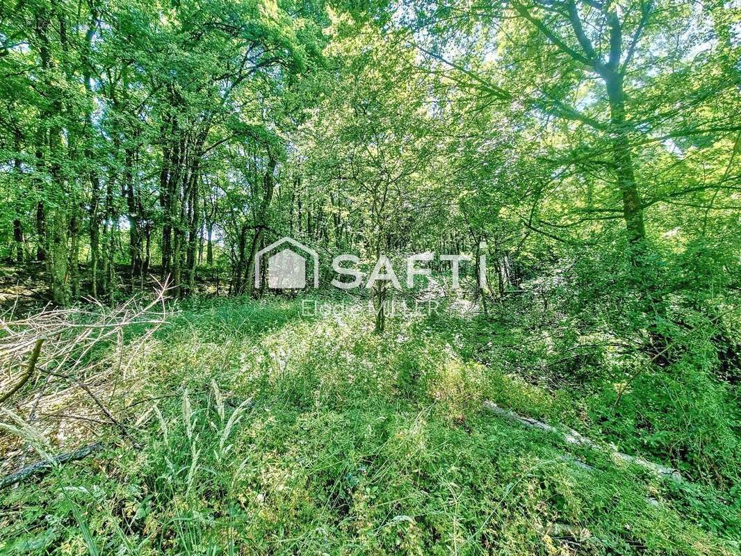 Photo 4 - Terrain à PULLIGNY