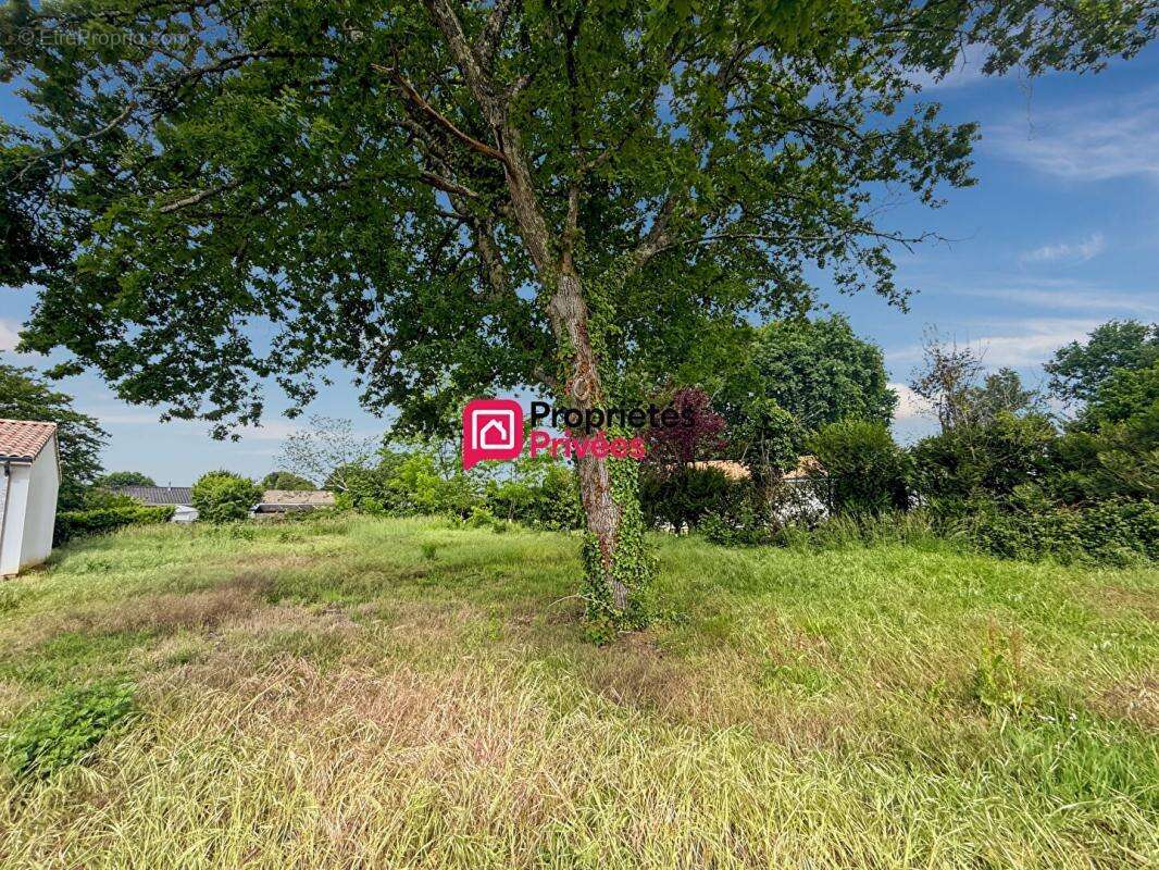 Castelnau-de-médoc ? terrain à bâtir viabilisé de 515 m² ? lotissement intimiste de 7 lots - photo 4