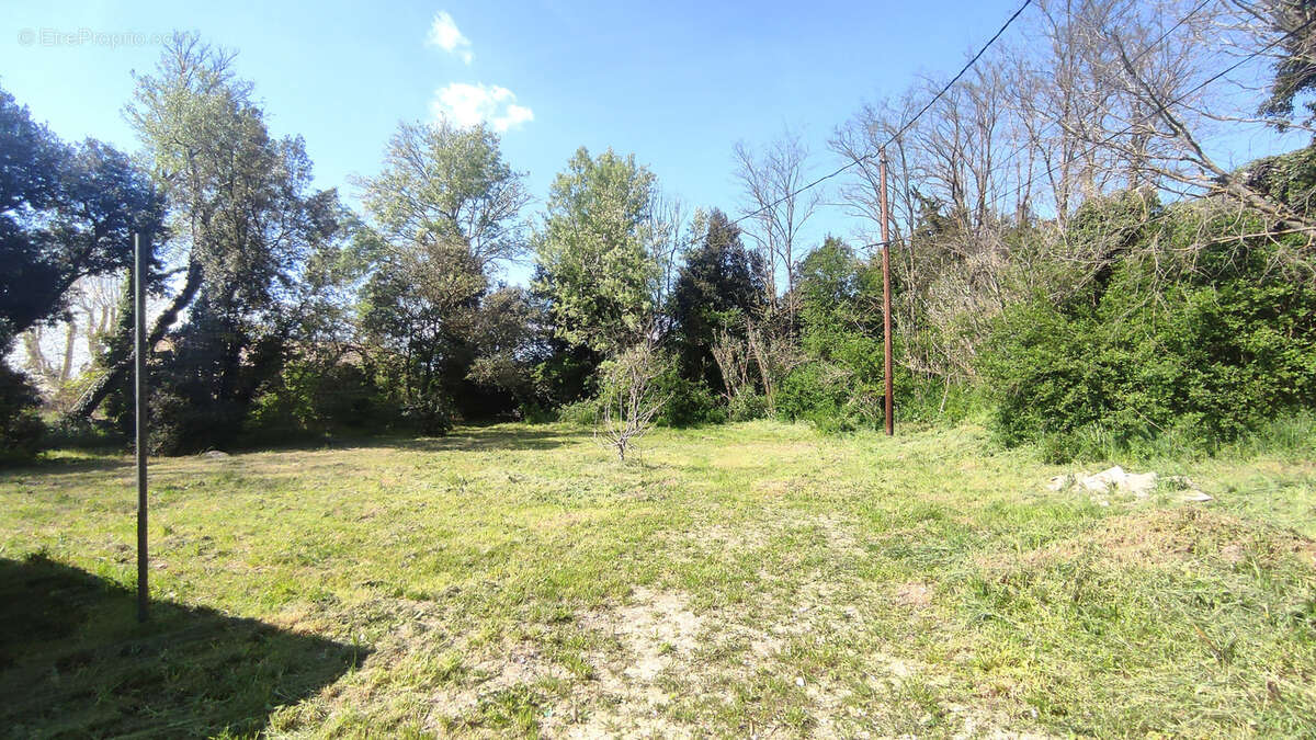 Maison à CHEVAL-BLANC