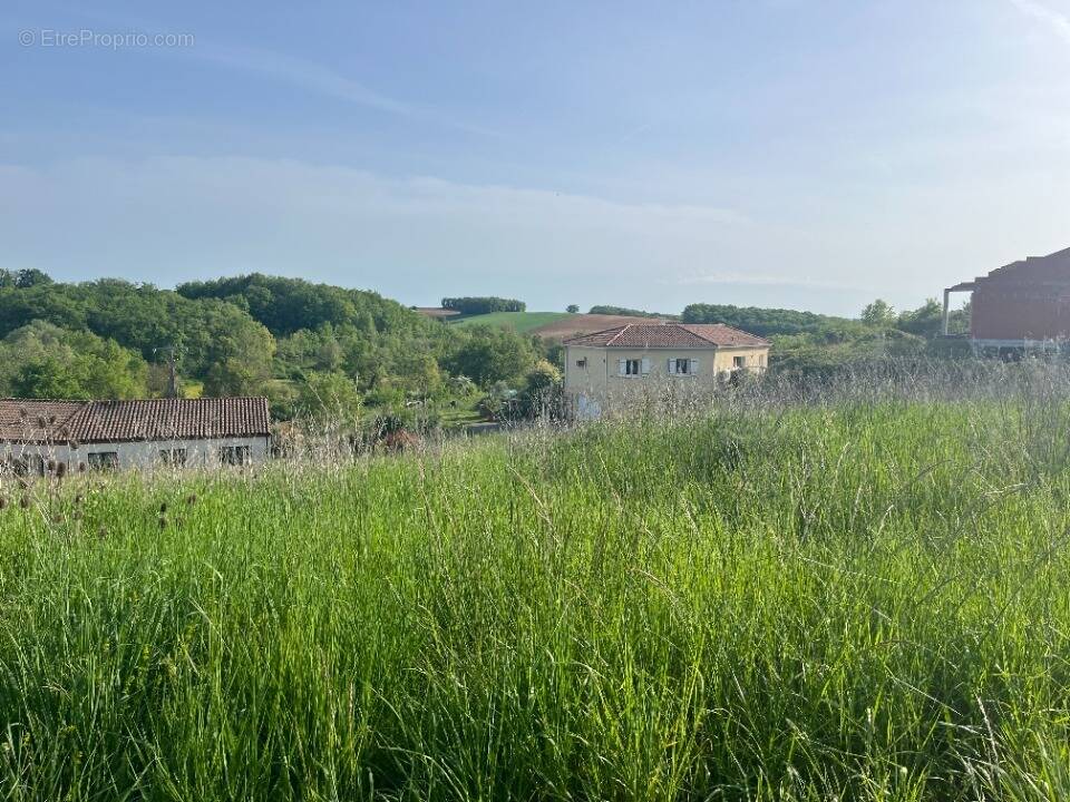 Terrain à LAMILLARIE