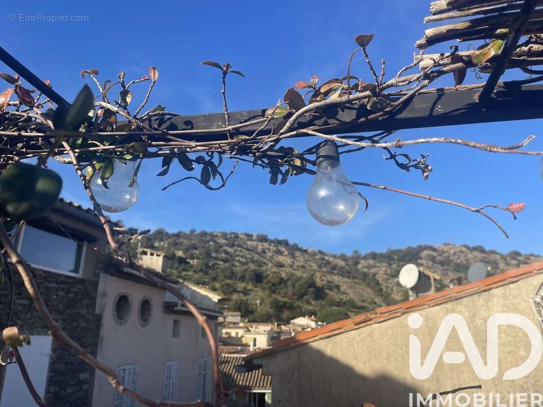 Photo 9 - Maison à LA GARDE-FREINET